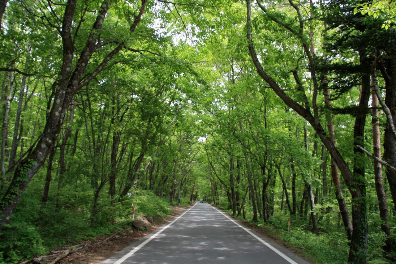Twin-Line Hotel Karuizawa Japan Ngoại thất bức ảnh