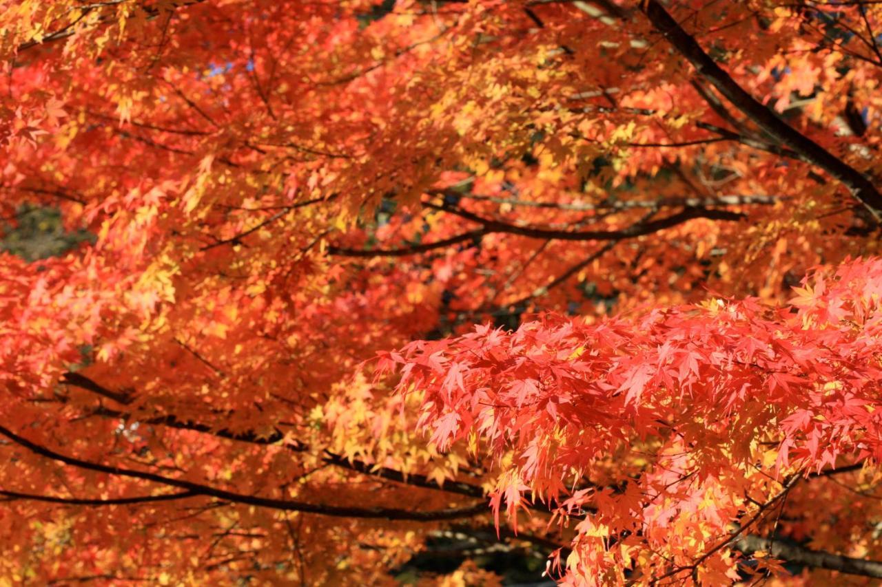 Twin-Line Hotel Karuizawa Japan Ngoại thất bức ảnh